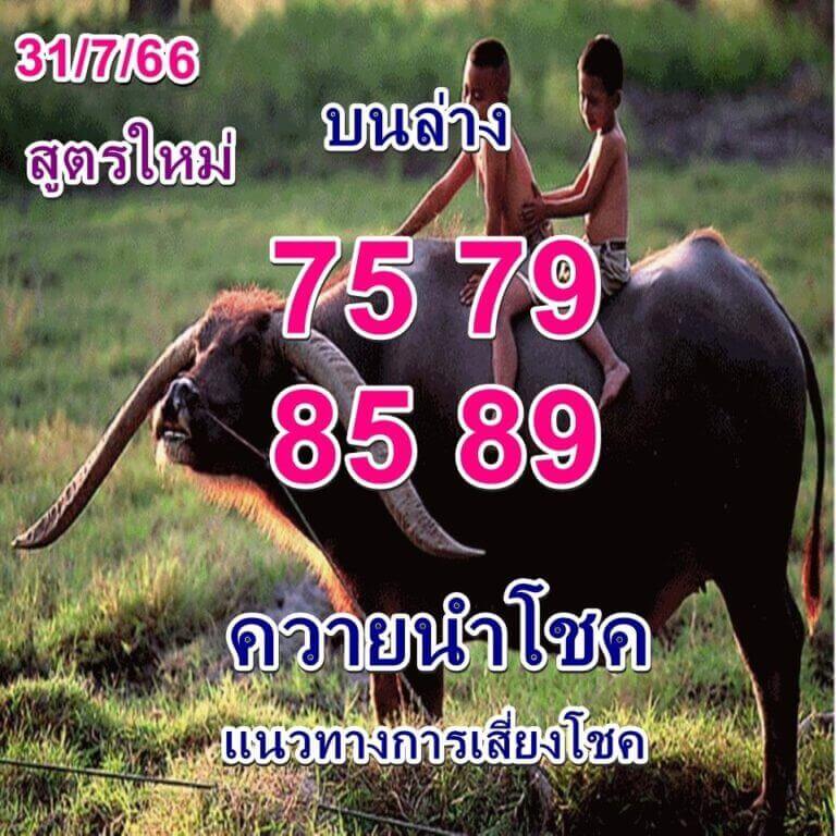 หวยควายนำโชค